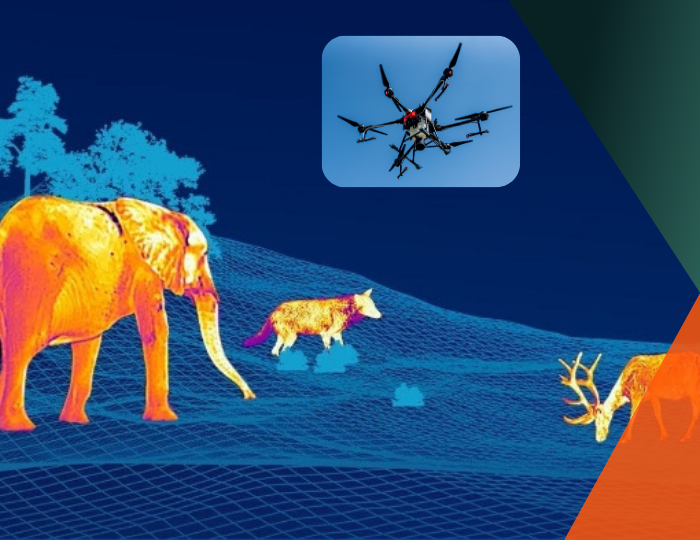 Precision Agriculture Solutions